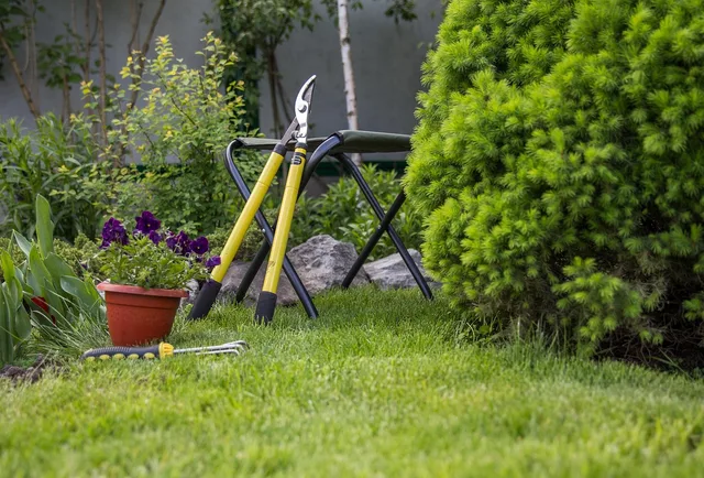 gardening, backyard, cultivation, nature, autumn, garden. Backyard workspace checklist: survey, panel and delivery route