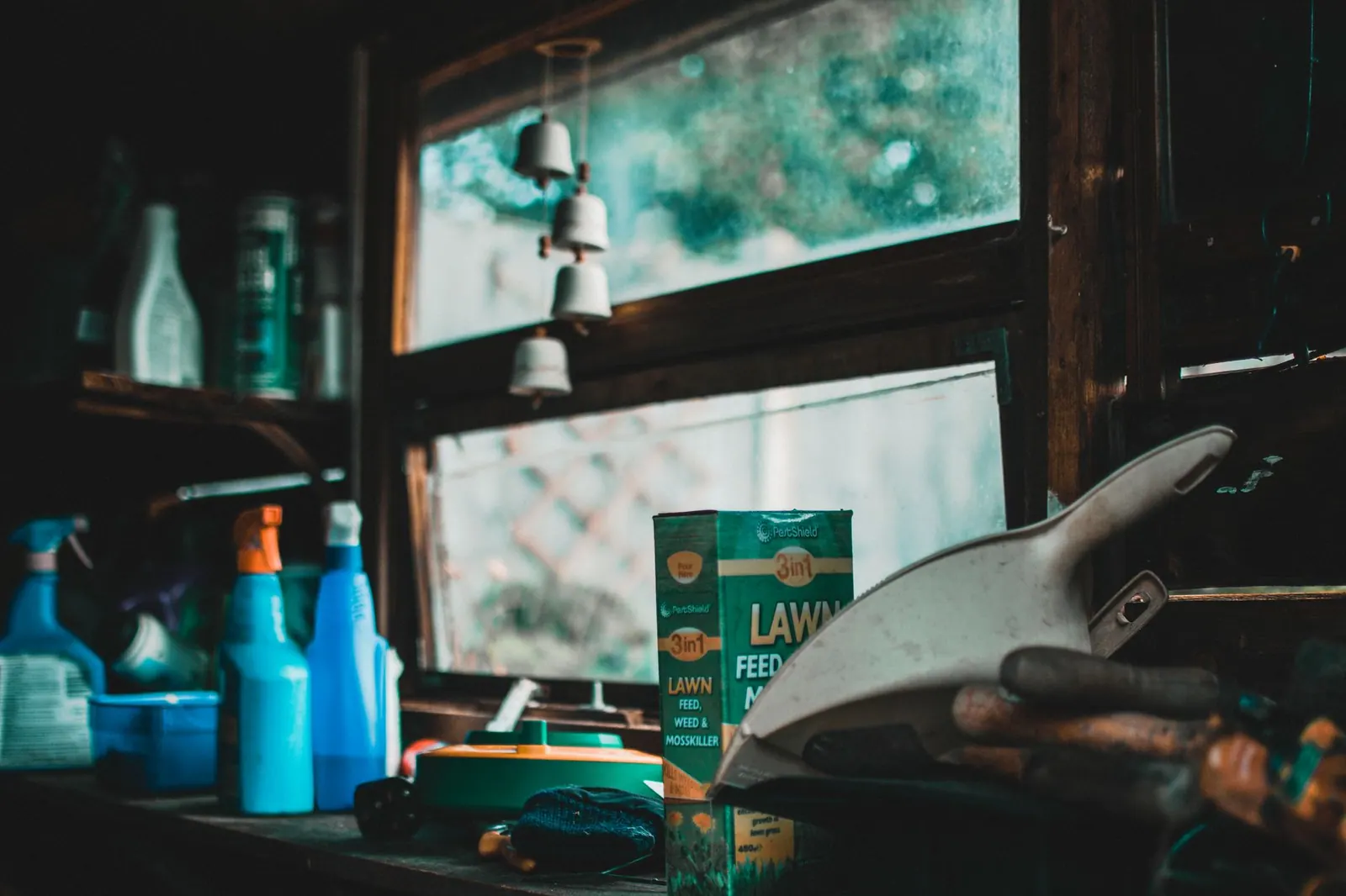 A cozy indoor garden shed scene with tools and lawn supplies by a window.