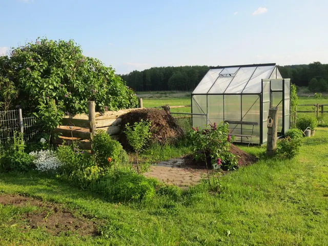 greenhouse, allotment garden, garden shed, garden, schwerin, nature, germany, greenhouse, greenhouse, greenhouse, greenhouse, greenhouse, allotment garden, allotment garden, allotm