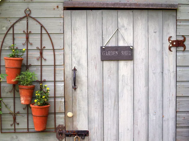 shed, nature, garden, door