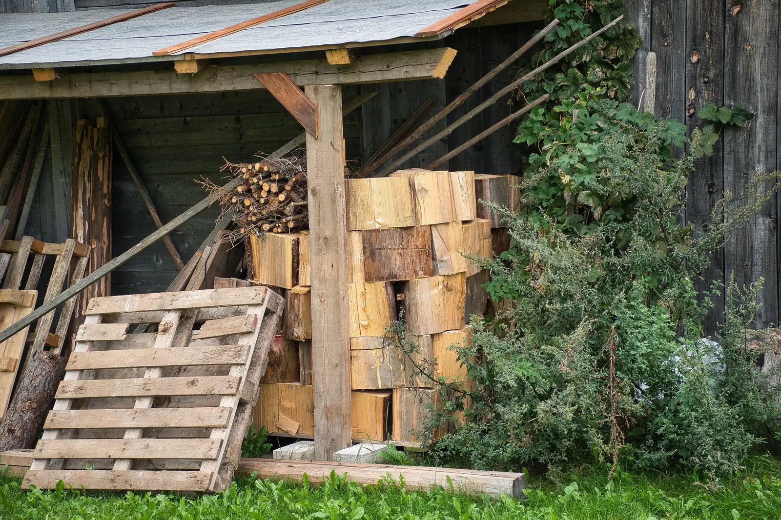 A rustic woodpile beside a wooden shed in a rural Trentino backyard setting, ideal for cozy countryside themes.