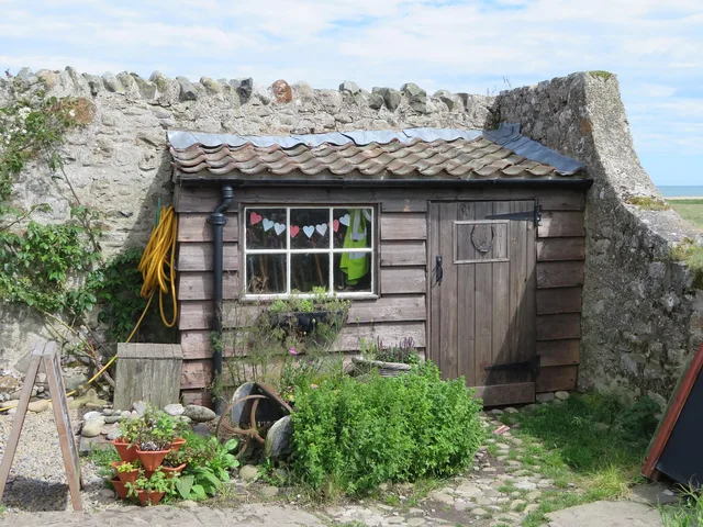 shed, hut, garden, holy island, outdoor, nature, construction, wooden. Backyard studios: use, codes and four build routes