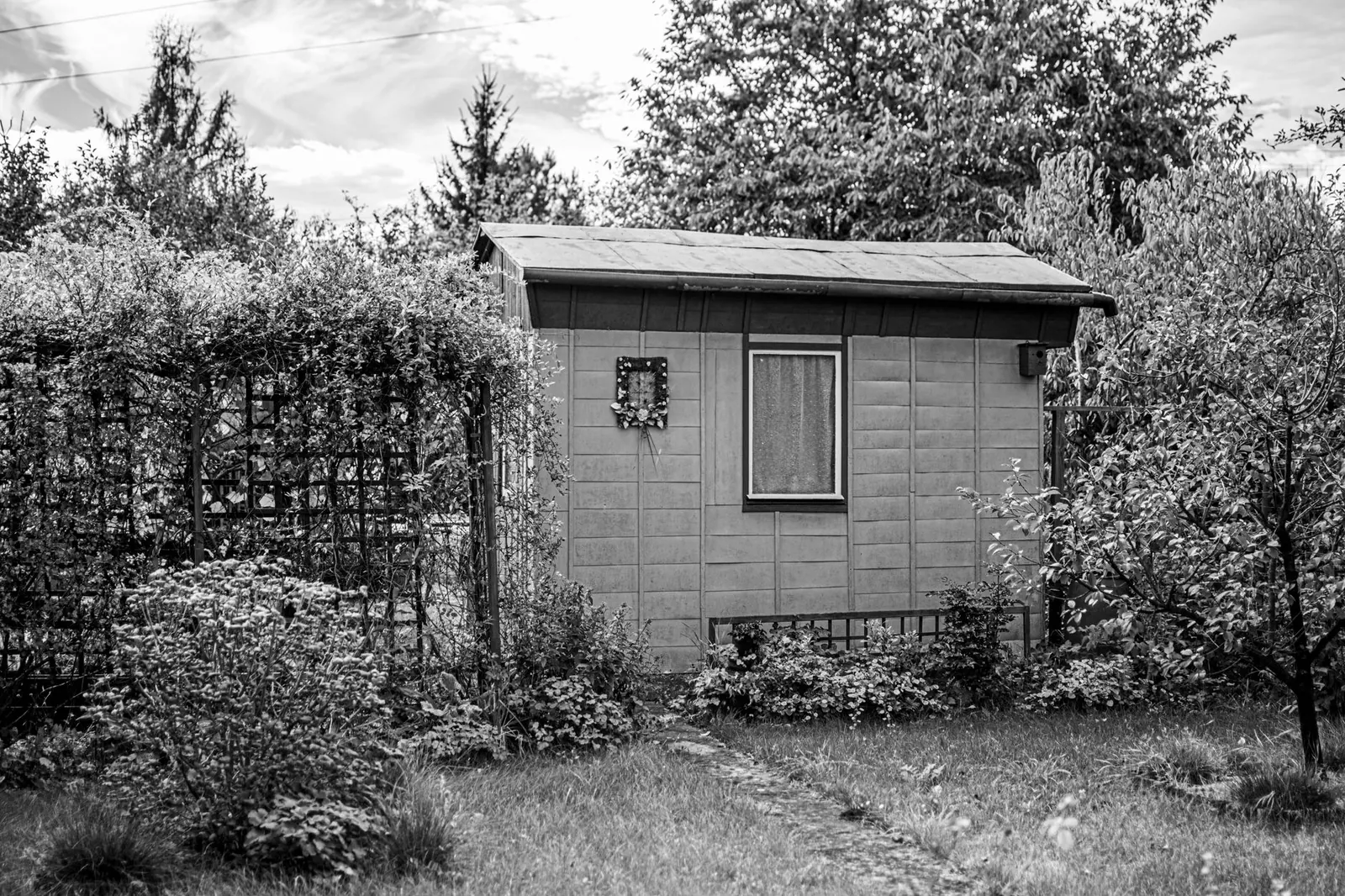 A serene monochrome garden scene featuring a solitary shed surrounded by greenery.