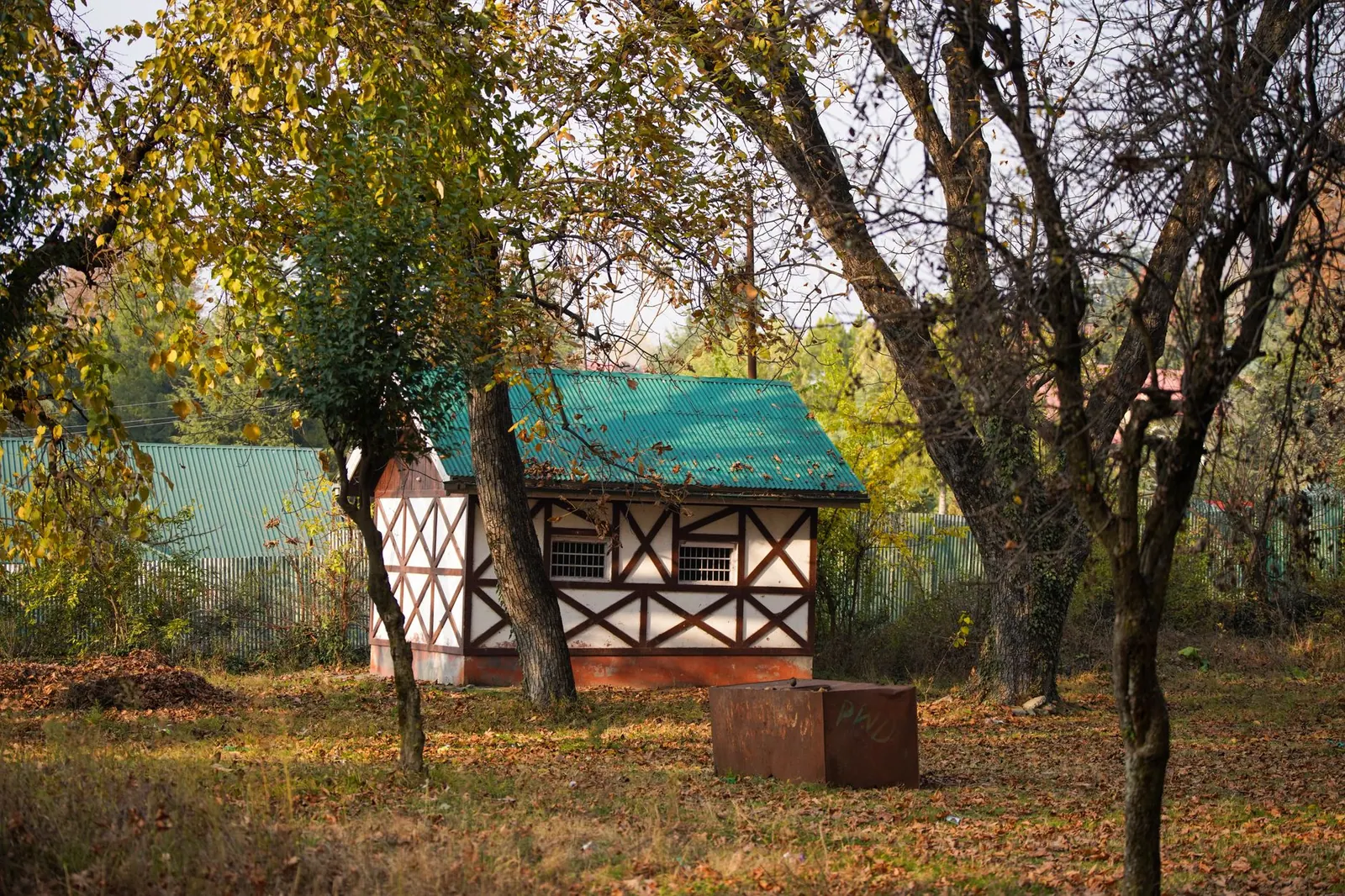 A quaint rustic shed surrounded by colorful autumn foliage in a serene backyard setting.