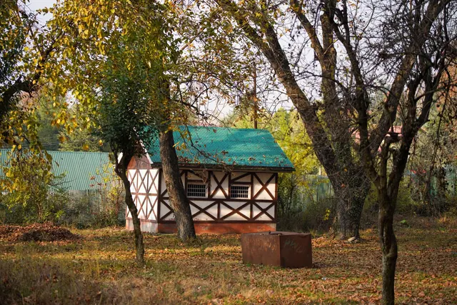 A quaint rustic shed surrounded by colorful autumn foliage in a serene backyard setting.