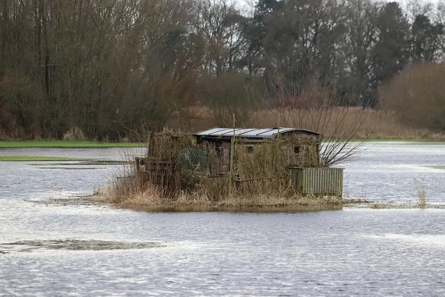 shed, flood, nature, meadow. Studio Sheds: Check Hazards and Climate First