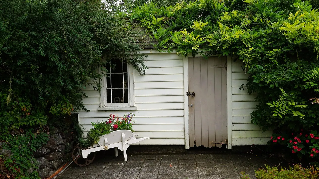 hut, green, wooden hut, wheelbarrow, garden shed, garden shed, garden shed, garden shed, garden shed, garden shed