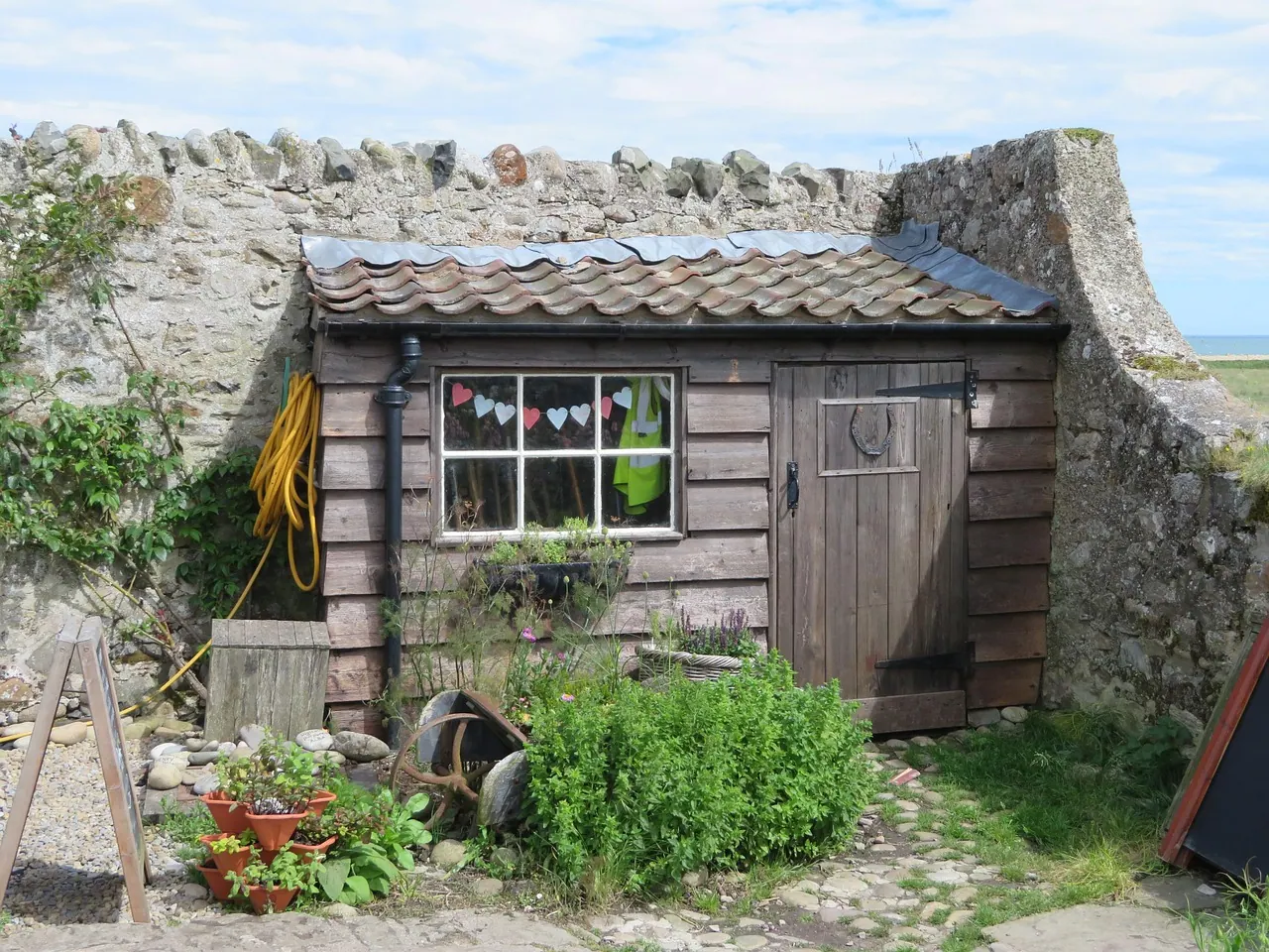 shed, hut, garden, holy island, outdoor, nature, construction, wooden