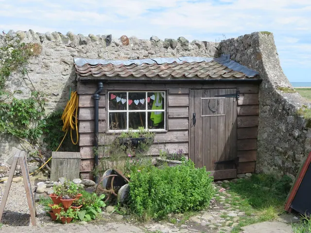 shed, hut, garden, holy island, outdoor, nature, construction, wooden
