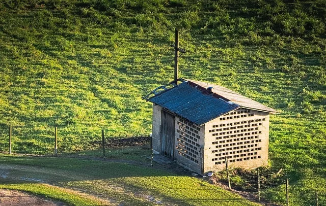 shed, concrete, structure, building. Studio shed construction: five stages from site to finish