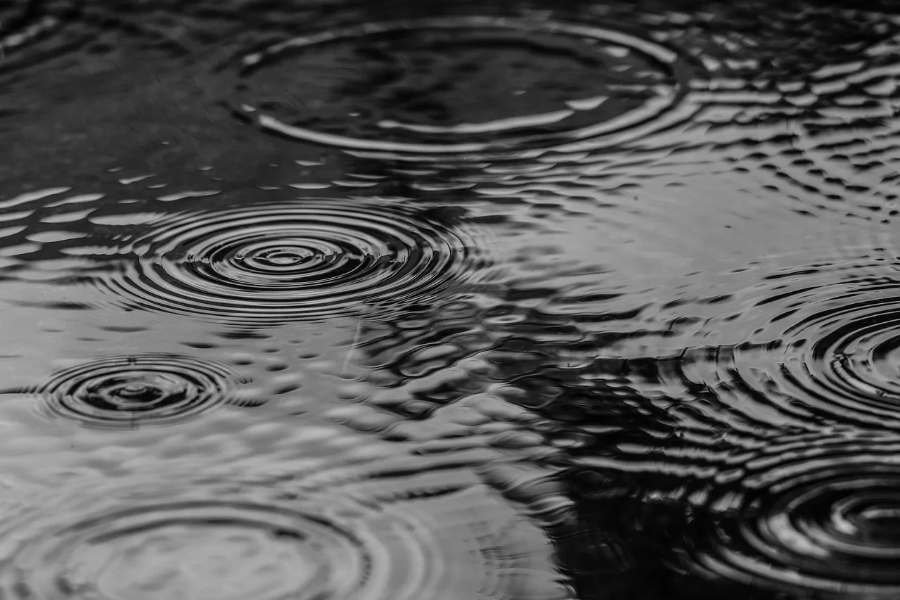 puddle, nature, water, rain, splash, monochrome. How to Keep a Backyard Studio Dry in Coastal BC Without Relying on Heat