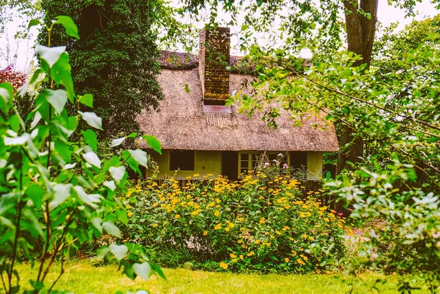 house, nature, idyll, garden shed, garden, thatched roof, building, romantic