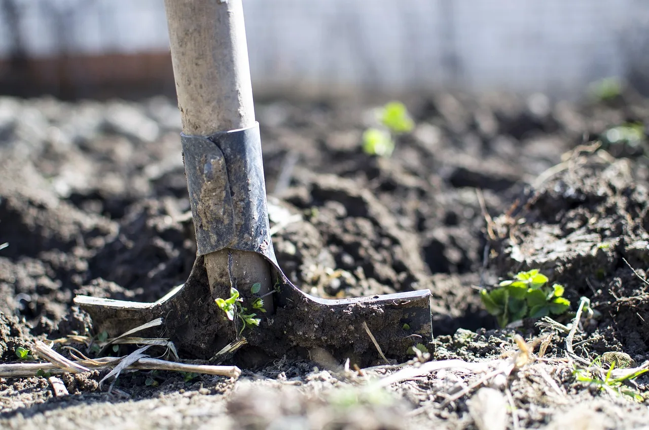 equipment, outdoors, dirt, dig, farming, garden, nature, ground, organic, gardening, rural, full hd wallpaper, denim, tool, up, backyard, agriculture, spring, wallpaper 4k, mud, shovel, soil, farm, free background, shallow, summer, macro, closeup, blur, cool backgrounds, blue, background, copyspace, close, cultivate, lawn, desktop backgrounds, dof, green, day, detail, hd wallpaper, hole, kitchen garden, harvesting, farmland, fresh, harvest, stem, cultivated, treasure hunting, spade, search, natural, produce, land, beautiful wallpaper, 4k wallpaper 1920x1080, rust, job, man, gardener, foot, vertical, view, metal, laptop wallpaper, shoe, free wallpaper, worker, windows wallpaper, wallpaper hd, conceptual, work, turning, standing, copy space, blurred background, gray nature, 4k wallpaper, gray background, gray work, gray kitchen, gray summer, gray garden, gray farm, gray job, gray shoes, gray gardening, gray tools, mac wallpaper, gray metal, gray natural, gray closed. Shrinking a backyard studio: cuts that work and cuts that backfire