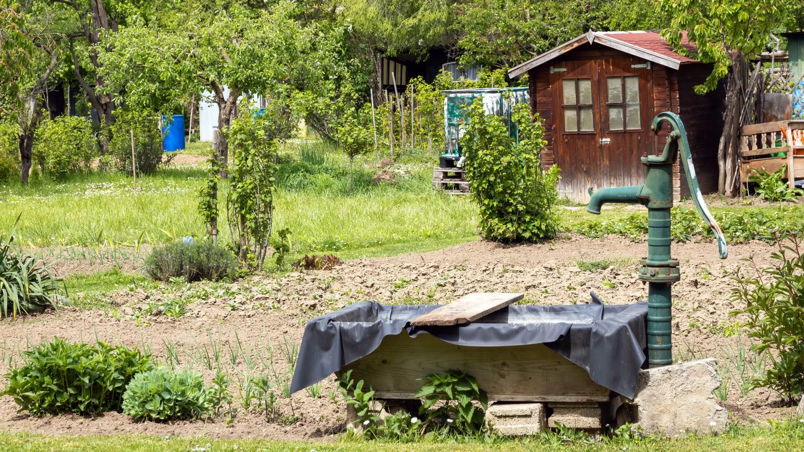 A scenic garden with a water pump, greenery, and a rustic wooden cabin.