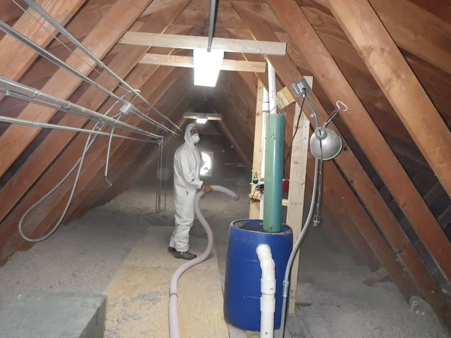 Cellulose insulation is blown in the attic by hatchery staff to increase energy efficiency Photo: Rob Holm / USFWS. Roof, wall or floor: matching studio insulation systems to the assembly