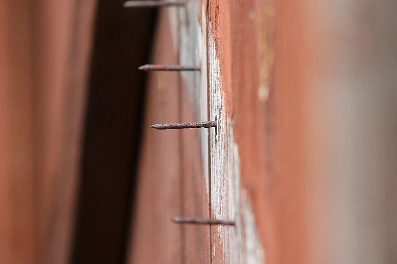 nail, protrude, sharp, exposed, rusty, rustic, weathered, lineup, strip, construction, nails, points, angle, diagonal, barn, siding, barn siding. What homeowners regret about backyard studio spending: a closer look