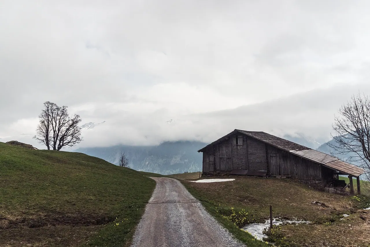 mountain, shed, cabin, nature, tree, wooden, switzerland, idyllic, countryside