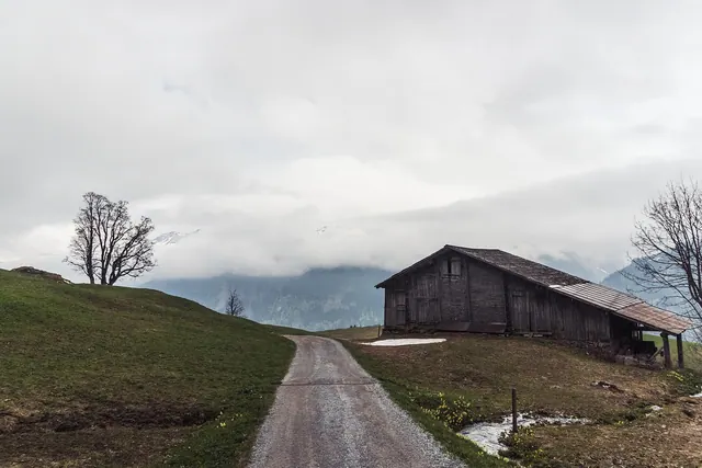 mountain, shed, cabin, nature, tree, wooden, switzerland, idyllic, countryside